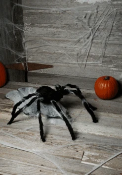 Fun World 36" Giant Jumping Spider