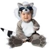 Fun World Lil' Raccoon Costume For Infants