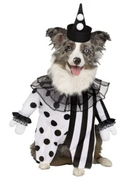 Fun World Killer Clown Pet Costume