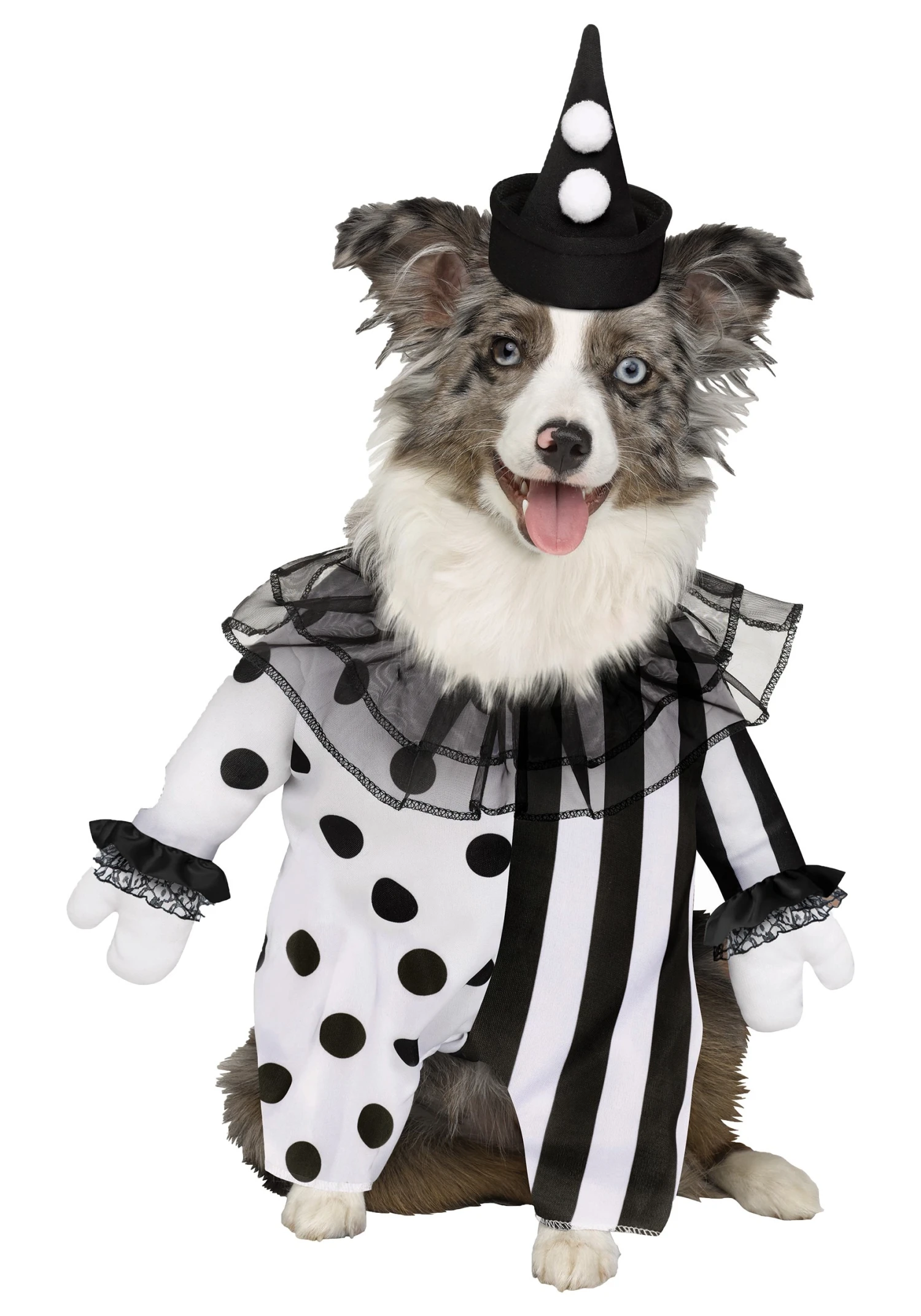 Fun World Killer Clown Pet Costume 1 Fun World Killer Clown Pet Costume