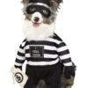 Fun World Robber Pup Pet Costume