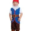 Fun World Boy's Bearded Gnome Toddler Costume
